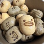 カステラのあかちゃん - 