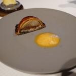 ジョンティ アッシュ - 