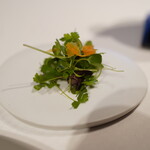 ジョンティ アッシュ - 