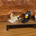 うなぎの美鶴 - 猫ちゃん本を読んで、ビール呑んでる