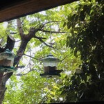 ガレージ ブルーベル - 庭にはすずめがたくさん…鳥の囀りが心地よいです