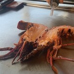 シェルブルー - 