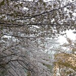 じんぎすかん マルタケ - 