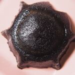 카메노코 센베이 혼포 오오나미 우에노하시점