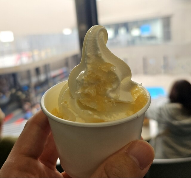 波の華（ナミノハナ） - 羽前大山（ソフトクリーム）の写真