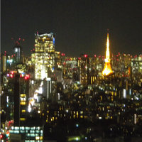 タワーズバー ベロビスト - 