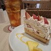 ARROW TREE 芦屋モンテメール店