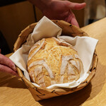 オルタンシア - 