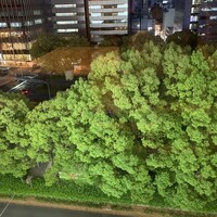 ひつまぶし名古屋備長 ラシック店 - 