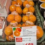 デイリーテーブル 紀ノ国屋 アトレ吉祥寺店 - 