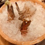 イーストブルー 豪椀 - 