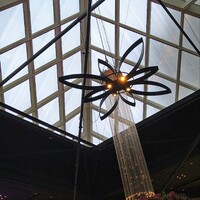 リュクス ダイニング ハプナ - 