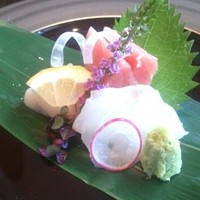 日本料理 芝桜 - 