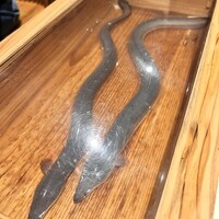 にょろ助 銀座 - 