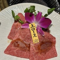 焼肉 徳川苑 - 