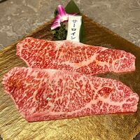 PONGA PREMIUM - 