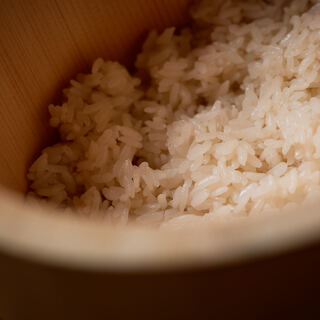 すしダネによって温度を変える鮨飯が魚の味を引き立てる