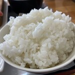 みなと市場 小松鮪専門店 - 中おち定食（900円）
      ごはん美味しい！