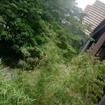 小石川 仲ざと - 