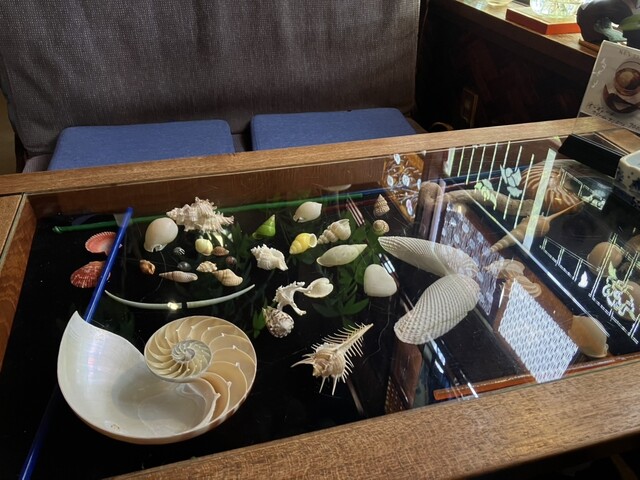 山茶花（サザンカ） - 酒田（喫茶店）の写真