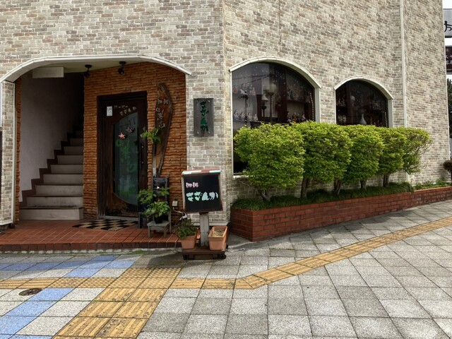 山茶花（サザンカ） - 酒田（喫茶店）の写真