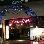 Cats Cafe - 