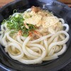 うどんの田