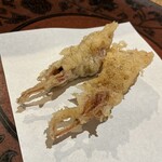 天ぷら浅沼 - ホタルイカ