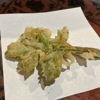 天ぷら浅沼 - コシアブラ