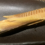 酒奏居肴家 季酒 - 