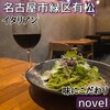 novel
