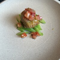 インカメラ コン テラッツァ - 