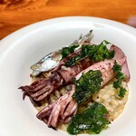 馳走西健一 - ⑩麦イカのもち麦玄米のリゾット 豆鰯を乗せて