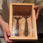 水暉 ザ・リッツ・カールトン京都 - 車海老