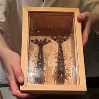 水暉 ザ・リッツ・カールトン京都 - 車海老