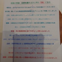 山地陽介 - 