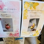 Wolf COFFEE PATISSERIE - 