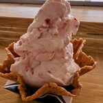 道の駅もてぎ もてぎプラザ - 