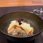 イル アオヤマ - 