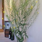 ロカンダ デル カンポ - 