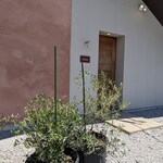 ロカンダ デル カンポ - 