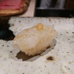 鮨 在 - アオリイカ