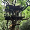 ツリーフルツリーハウス