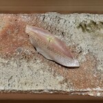 匠 進吾 - 春子鯛