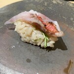 陸奥前鮨 善知鳥 - 