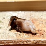 匠 進吾 - …っと、思いきや、この生の鳥貝もたまらん♪
      ボイルしたものとは、香りの立ち方が全然違います！
      身も柔らかくて、絶品。
      貝はほとんど終わったとのことですが、これがあれば十分ですね(^^)