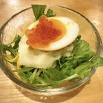 フィッシュ オン ディッシュ ロリー - 