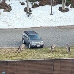 ホテル大雪 ONSEN&CANYON RESORT - 