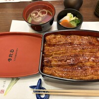 入谷鬼子母神門前のだや - 葵かねみつ重（特大）