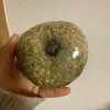 MIYATAYA BAGEL